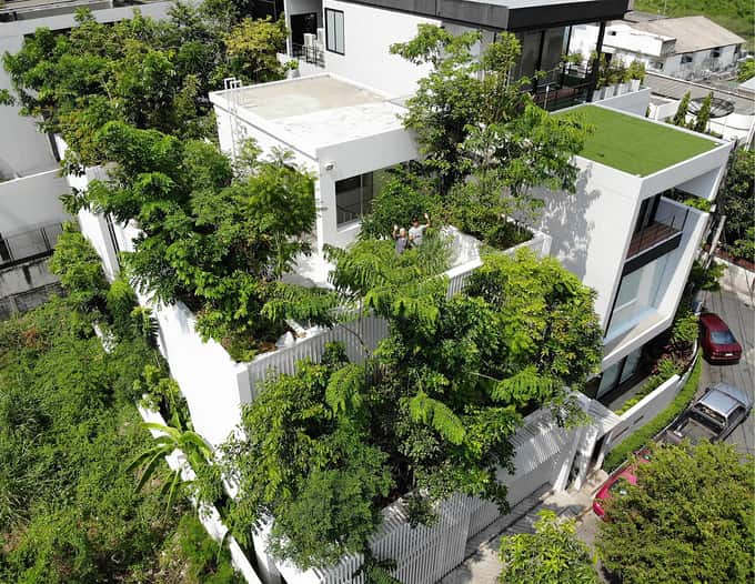 Ngôi nhà cho 7 người và 120 cái cây