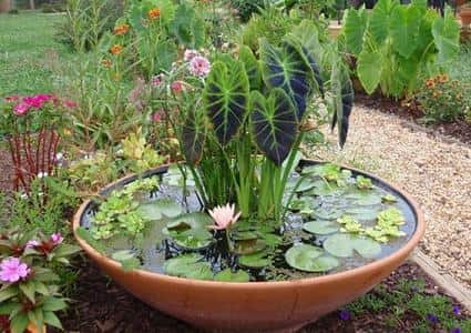 Những ý tưởng thiết kế ao nhỏ cho sân vườn