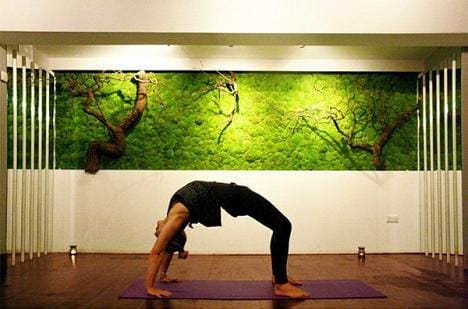 Tường cây xanh - xu hướng thiết kế mới của cuộc sống hiện đại